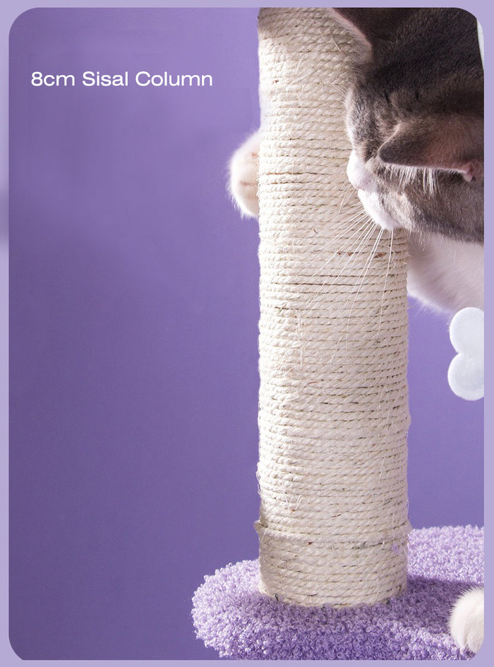 Sparkling Sky Cat Climber