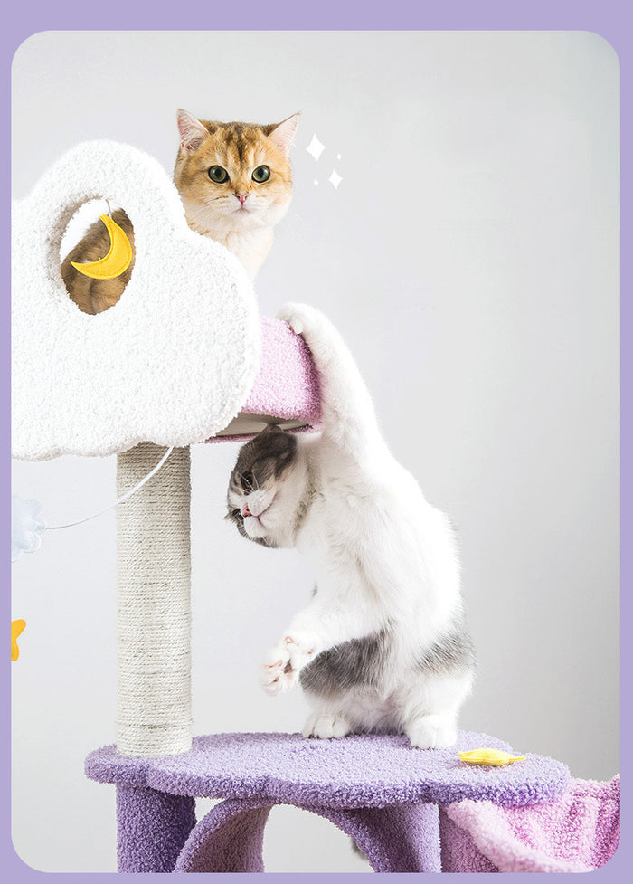 Sparkling Sky Cat Climber
