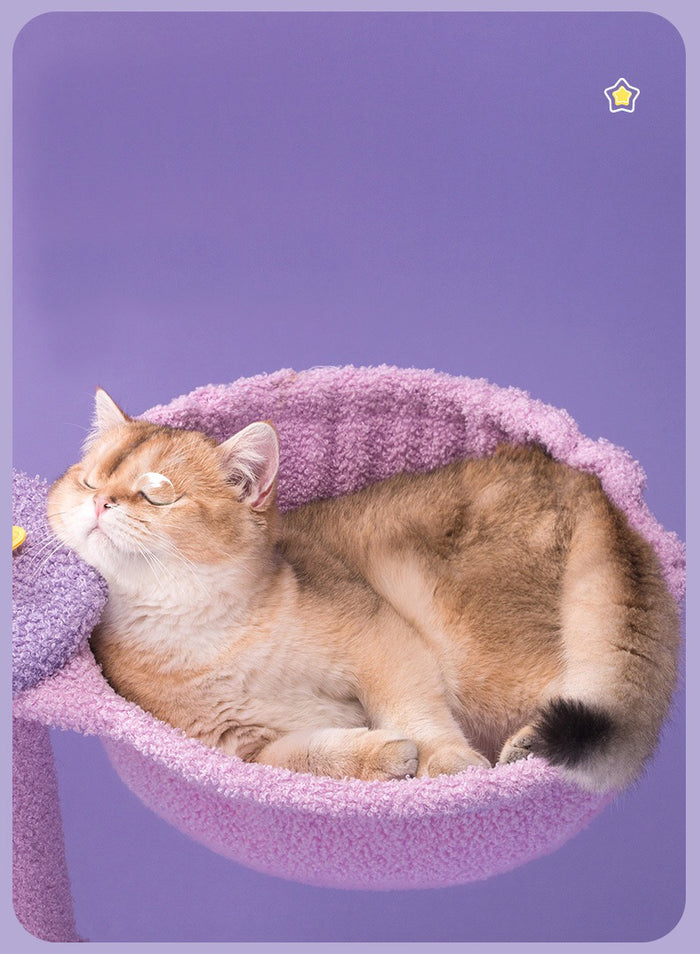 Sparkling Sky Cat Climber