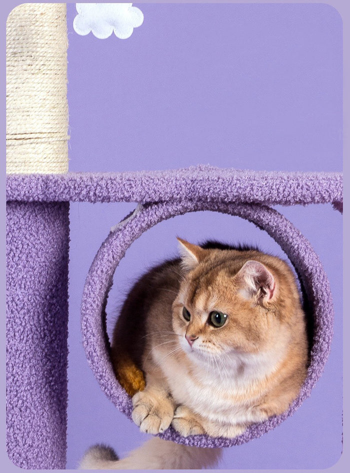 Sparkling Sky Cat Climber