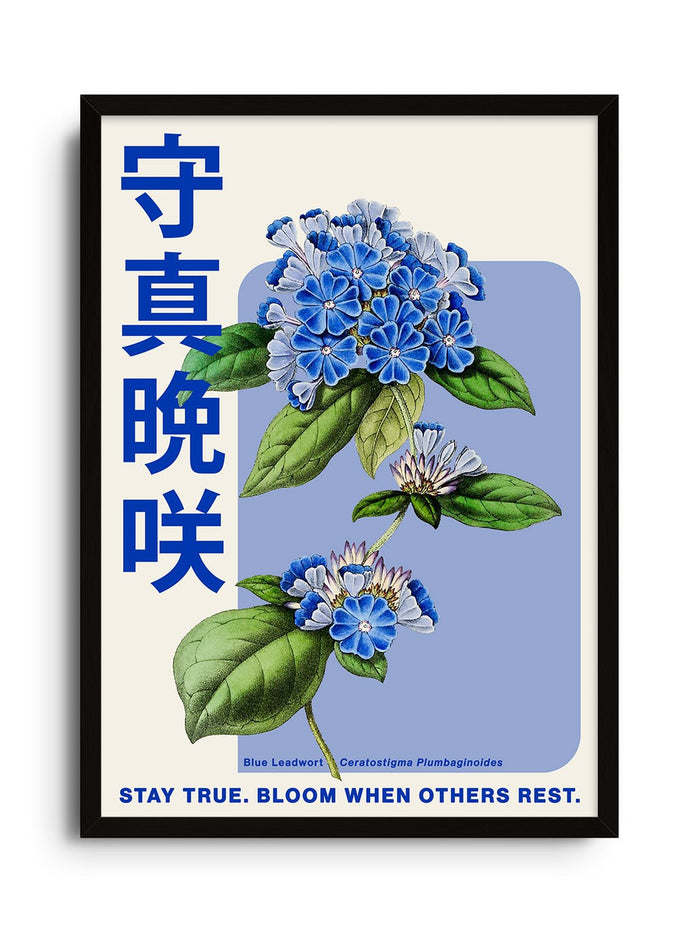 Stay True - Fifth Layer - East Side Studio - Art Prints