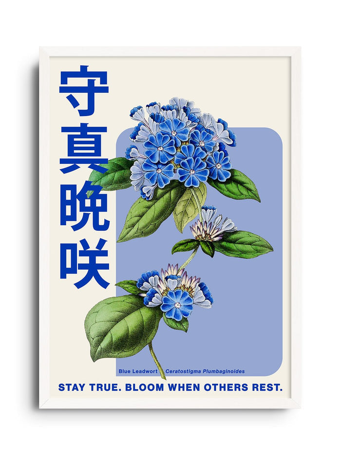 Stay True - Fifth Layer - East Side Studio - Art Prints
