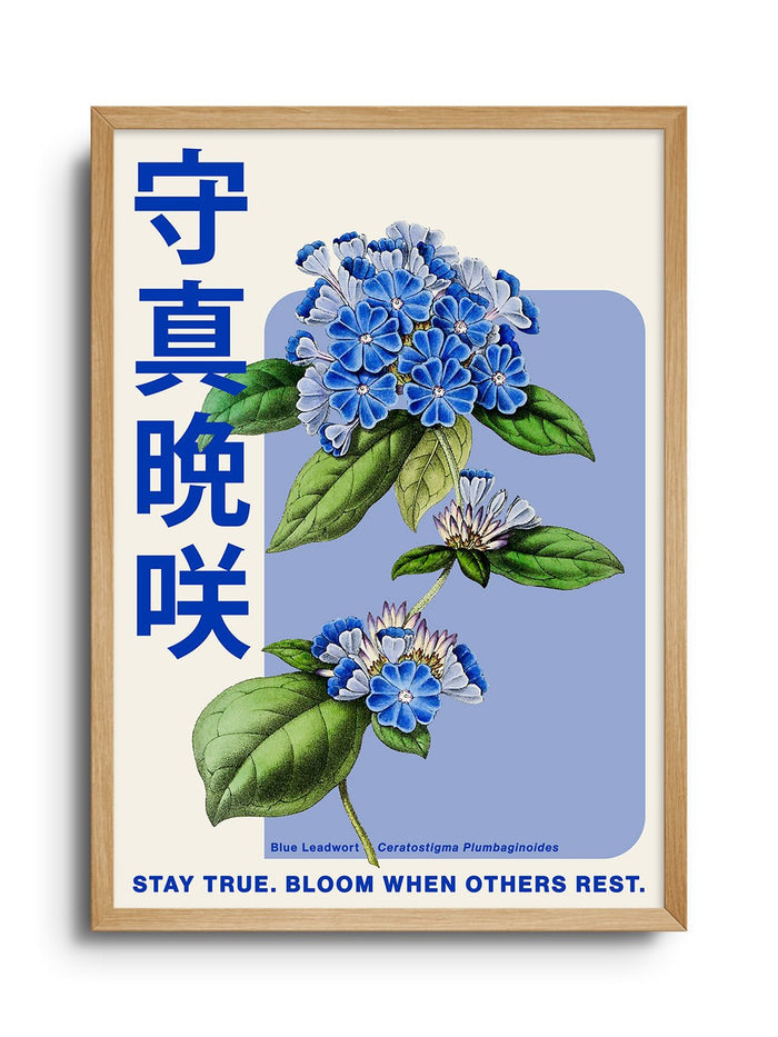 Stay True - Fifth Layer - East Side Studio - Art Prints