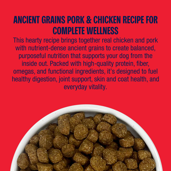 Muenster Ancient Grains with Chicken & Pork Dog Food kibble with ancient grains for everyday wellness