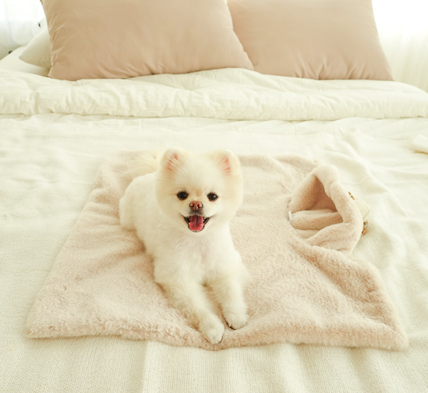 Teddy Teddy Blanket to Wear