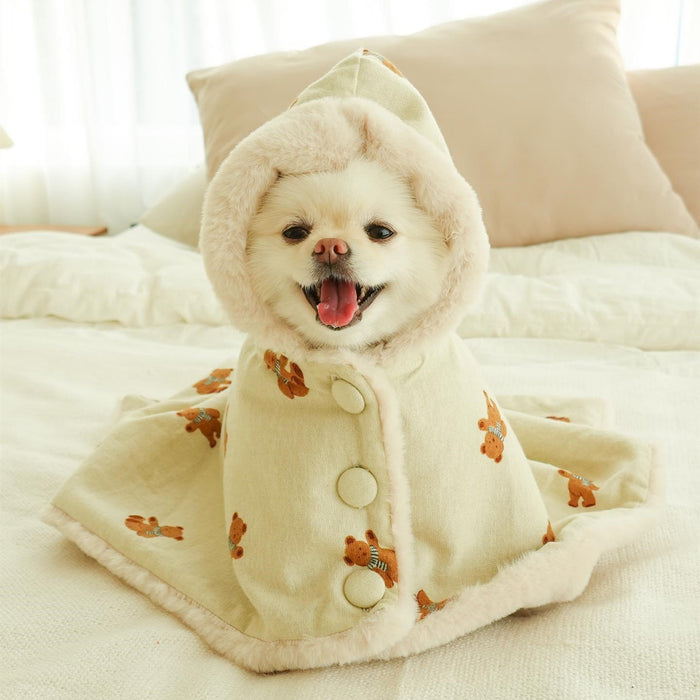 Teddy Teddy Blanket to Wear