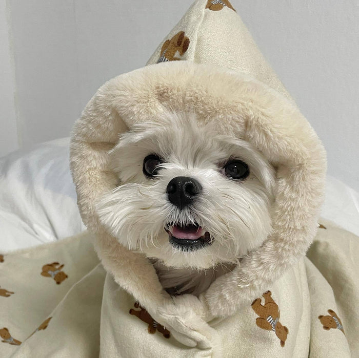 Teddy Teddy Blanket to Wear