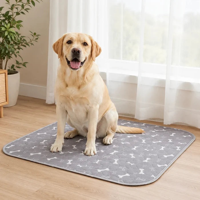 The ScentSmart™ Pad