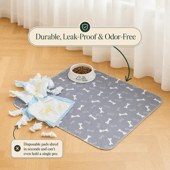 The ScentSmart™ Pad