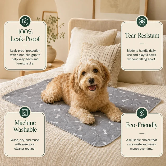 The ScentSmart™ Pad