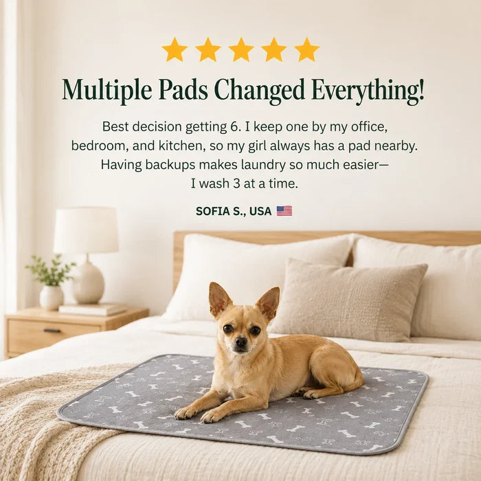 The ScentSmart™ Pad