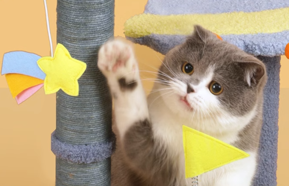 TinyPet Galaxy Cat Tree