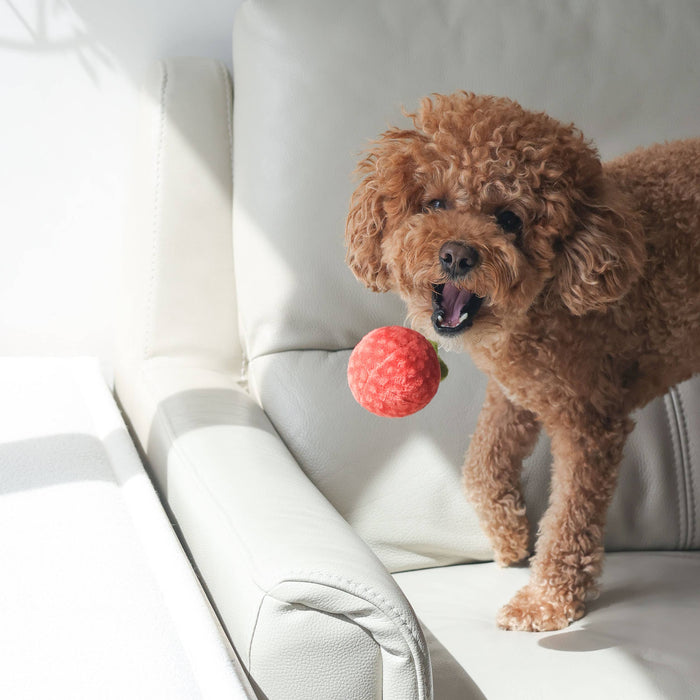 Tomato Soup Nosework Enrichment Toy | Snuffle | Squeaker
