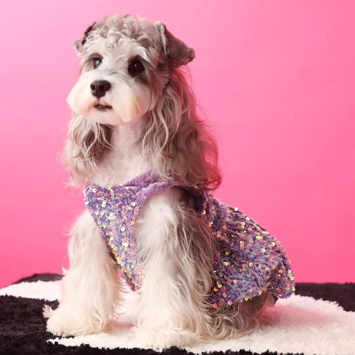 TommyBear BlingBling Party Dress