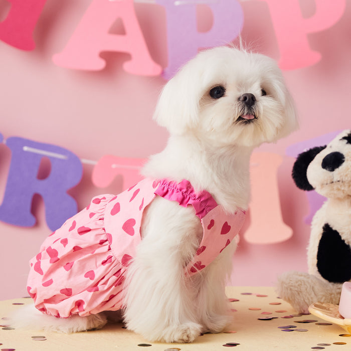 TommyBear Sweet Heart Pumpkin Dress