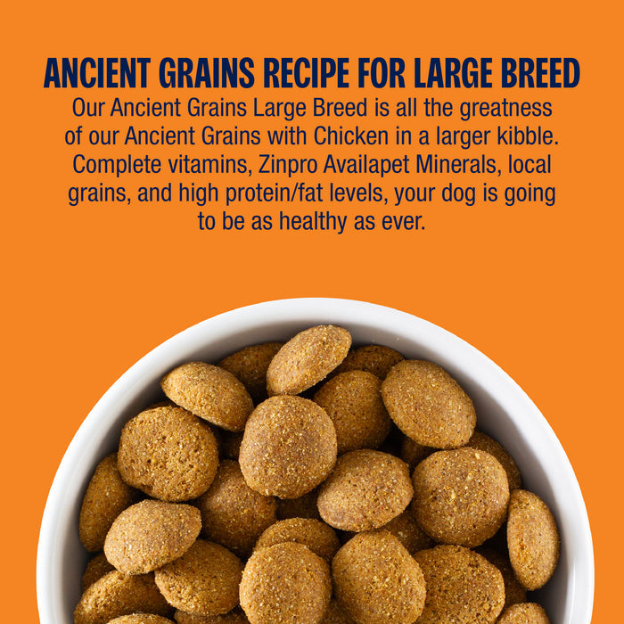 Dog food in a bowl with text about Ancient Grains recipe for large breed dogs on an orange background