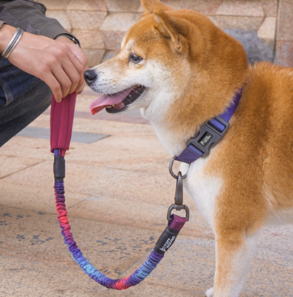 TuffHound Stretchy Leash for Dogs