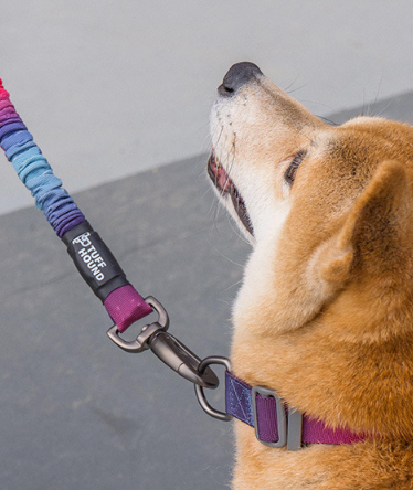TuffHound Stretchy Leash for Dogs