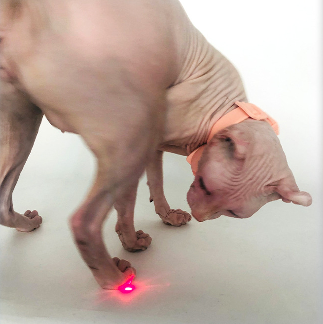 Versateaser Cat Laser Collar