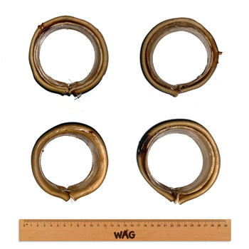 WAG Collagen Ring