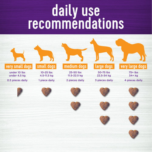 Wellness Shine Skin & Coat Support Soft Chews