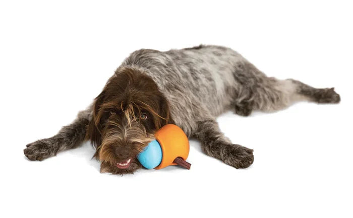 WestPaw TOPPL Puzzle Toy Lavender