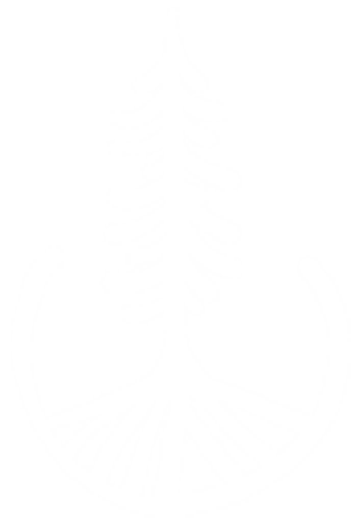 Woodland Pine Vinyl Decal