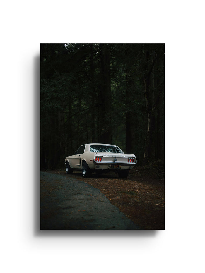 Woods - Gelstang