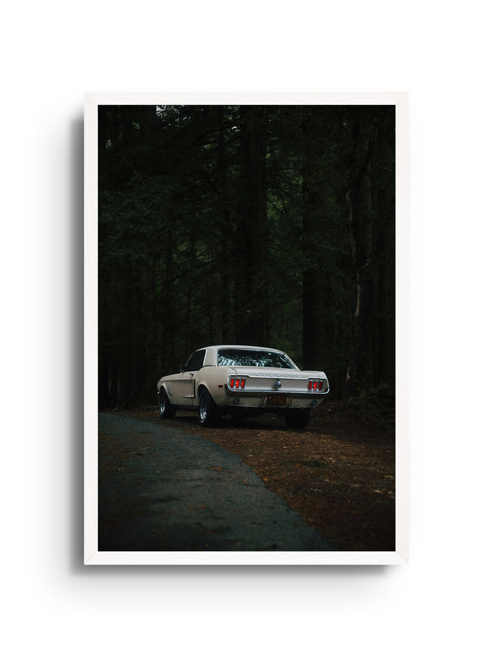 8" x 12" / 20 × 30 cm / White Frame / No